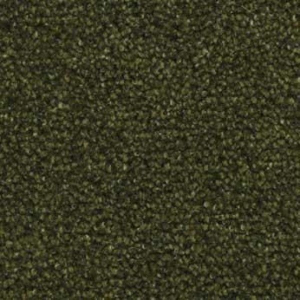 Coral Luxe 2806