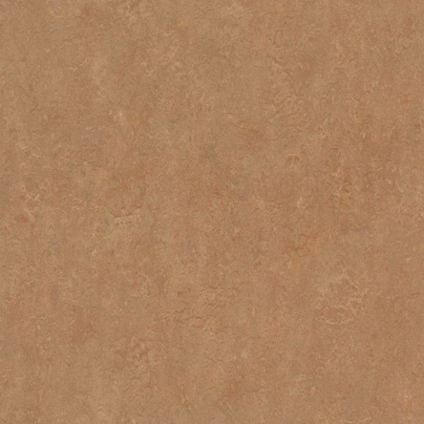 Линолеум Marmoleum Dual t3125 (Forbo)