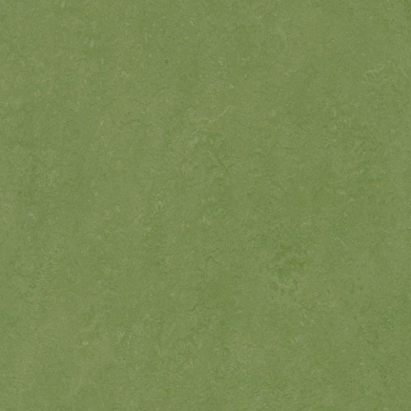Линолеум Marmoleum Dual t3125 (Forbo)