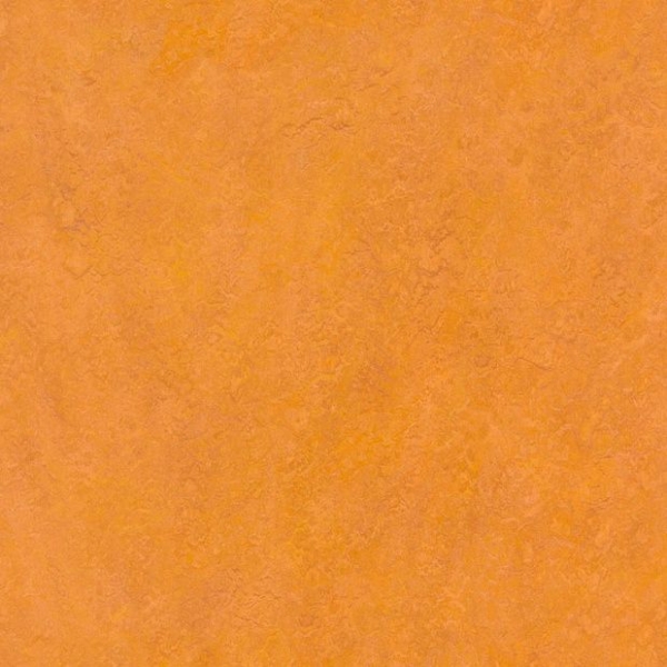 Линолеум Marmoleum Dual t3236 (Forbo)