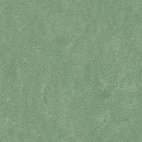 Линолеум Marmoleum Real 2621 (Forbo)