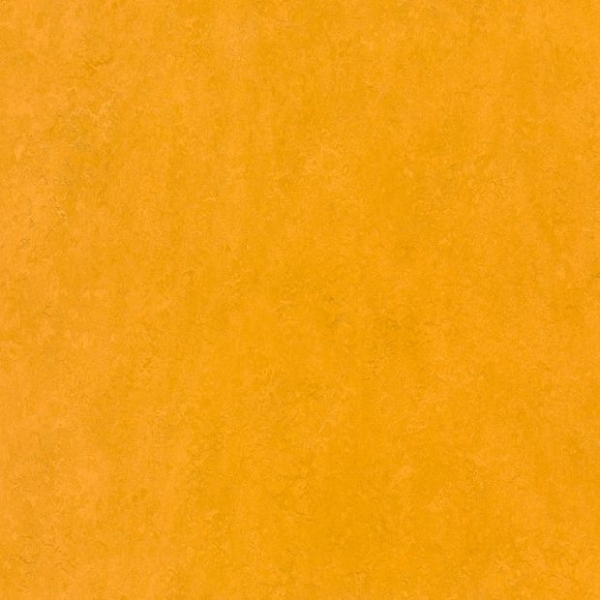 Линолеум Marmoleum Real 2621 (Forbo)