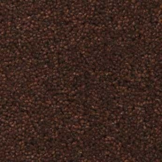 Coral Luxe 2810