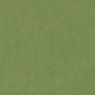 Линолеум Marmoleum Dual t3125 (Forbo)