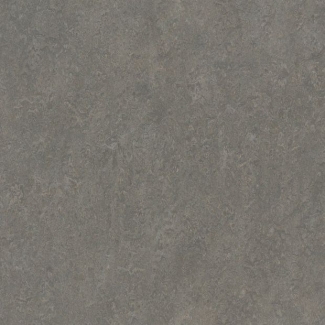 Линолеум Marmoleum Real 2621 (Forbo)