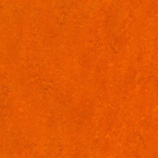 Линолеум Marmoleum Real 2621 (Forbo)