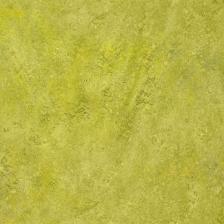 Линолеум Marmoleum Real 2621 (Forbo)